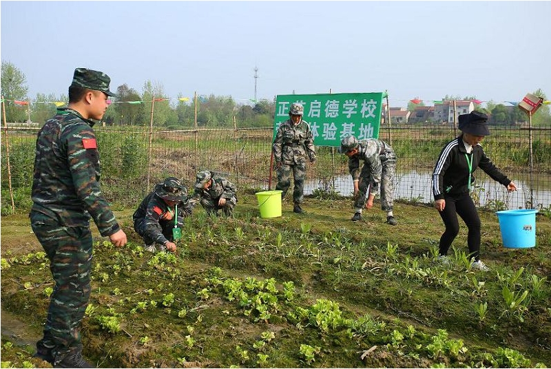 正苗启德青少年特训学校