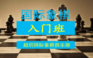 成都国际象棋入门精品课程排名前十培训机构一览