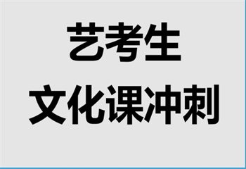 西安莲湖区艺考文化课辅导机构排名前五推荐一览