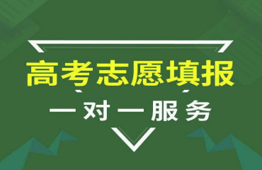 重庆地区高考报志愿规划机构前十大排名一览