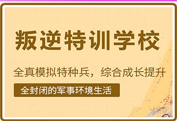 重庆十大全封闭叛逆素质教育学校榜单一览